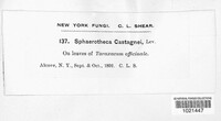 Image Associated With the Occurence